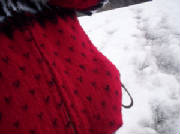 100_0237.JPG
