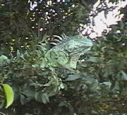 IMGA0188.jpg