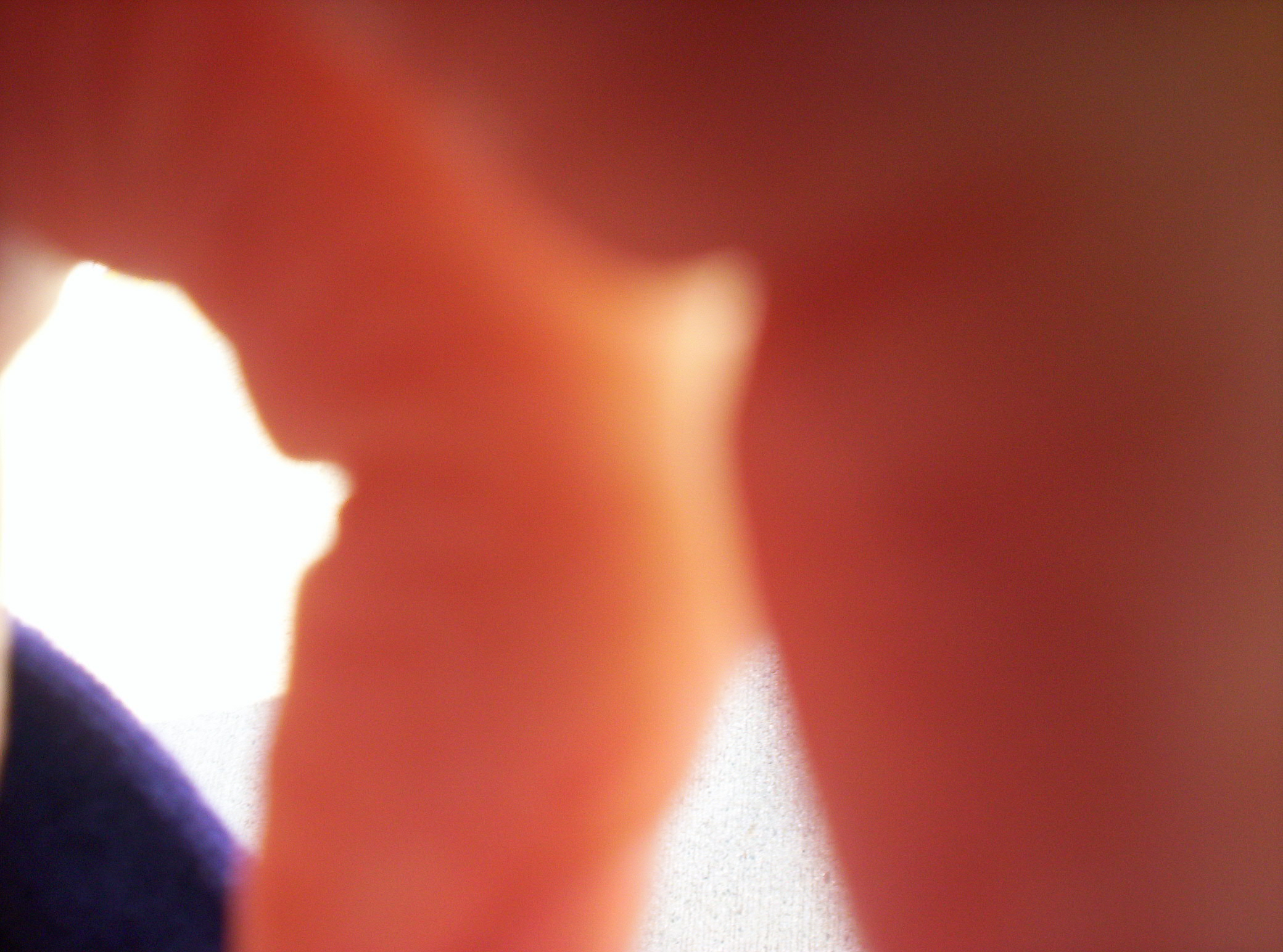 100_0217.JPG