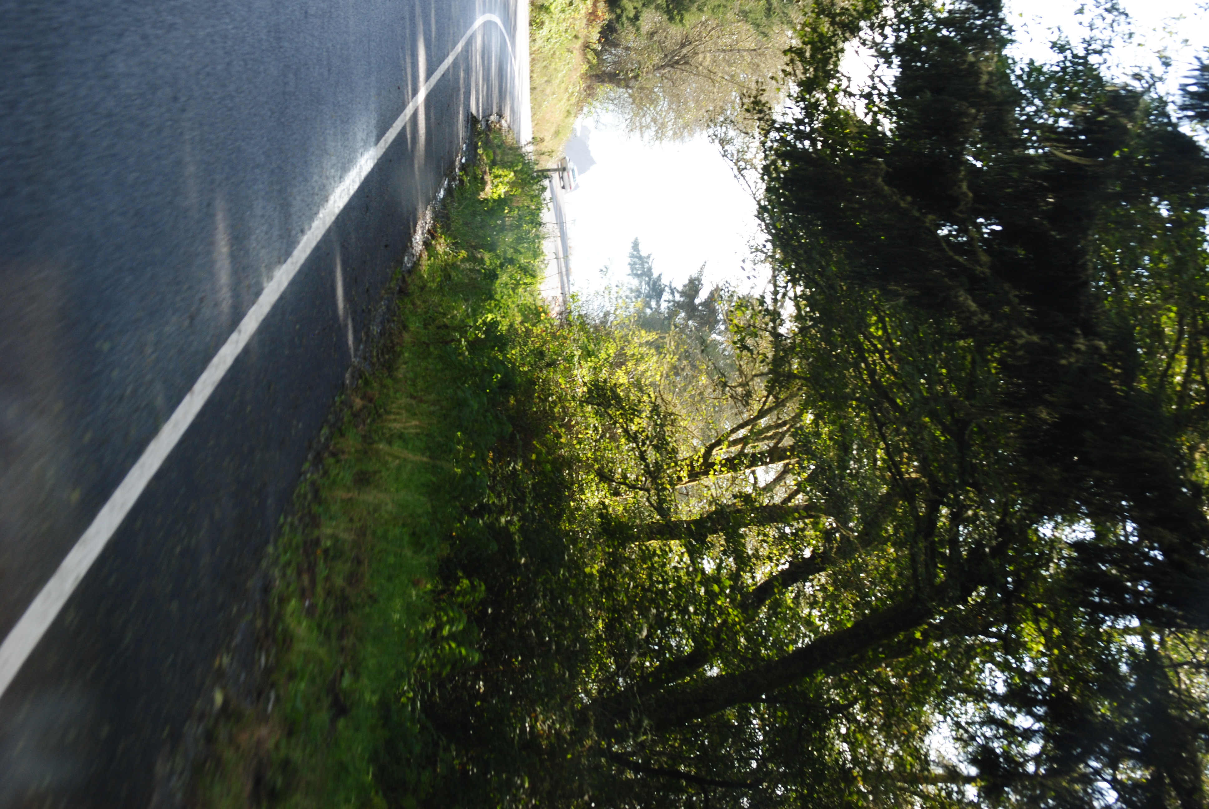 Lemoore-CoosBayTrip-2012