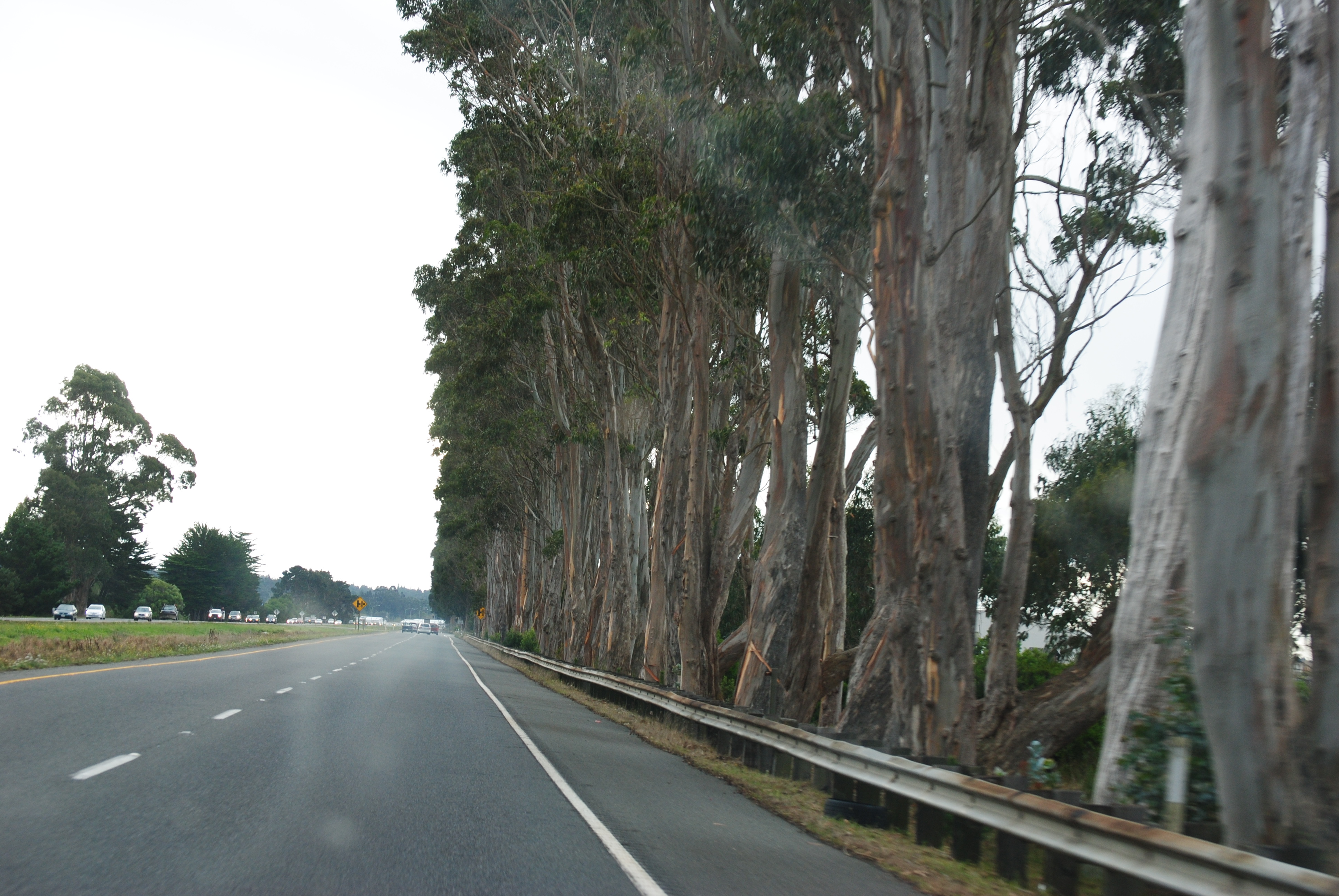 Lemoore-CoosBayTrip-2012